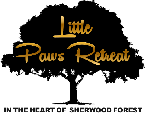 Little Paws Retreat